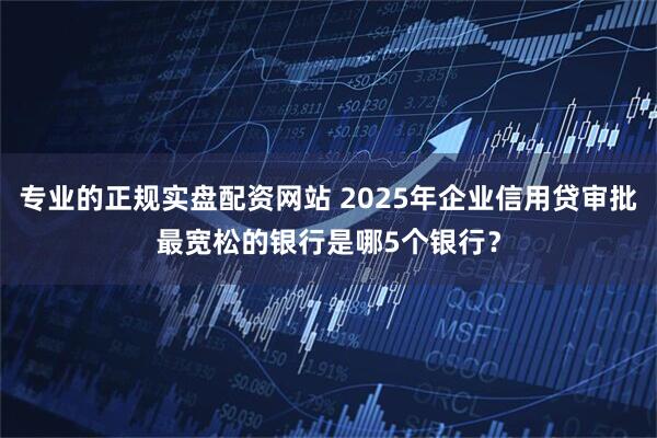 专业的正规实盘配资网站 2025年企业信用贷审批最宽松的银行是哪5个银行？